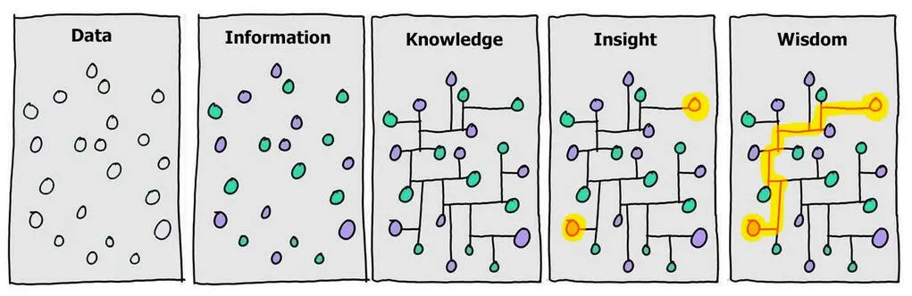 data vs wisdom